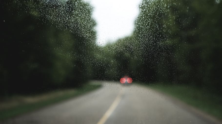 forest, trees, rain, rainy, moody, road, trip, road trip, glass HD wallpaper
