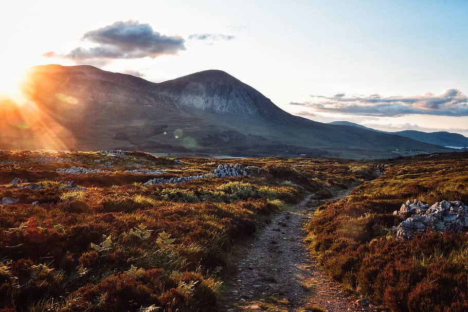 footpath between brown grass, mountain, scenics - nature, sky HD wallpaper