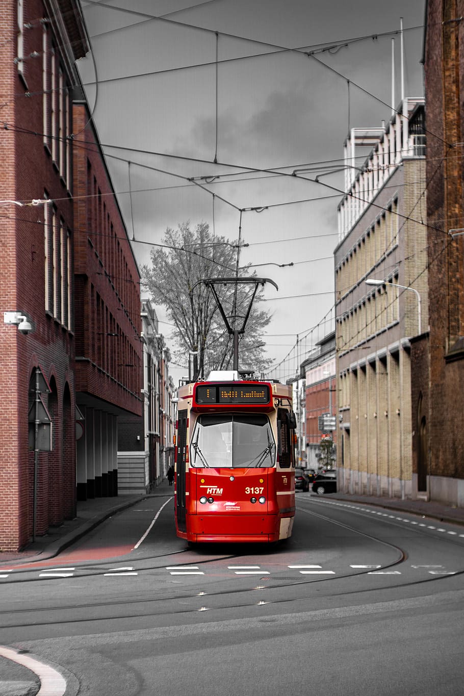 red tram on road during daytime, bus, transportation, vehicle, HD wallpaper