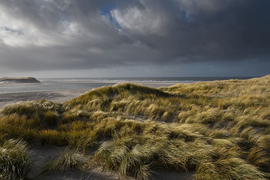 Green Grasses Under Gray Clouds, beach, Dark Sky, daylight, dramatic sky HD wallpaper