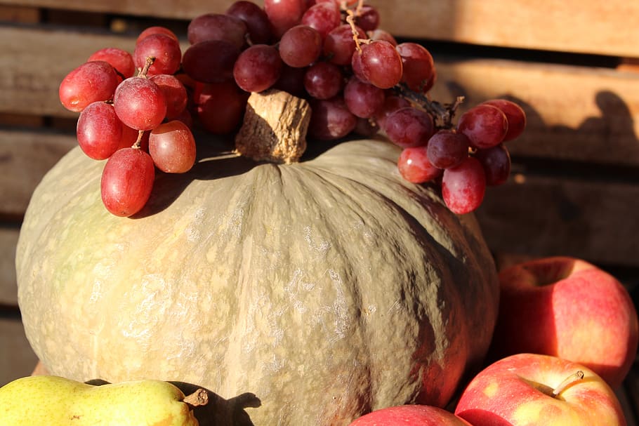 fruit, composition, nature, food, food and drink, healthy eating HD wallpaper