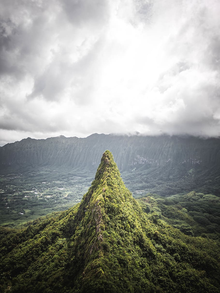 green-leafed trees under white clouds during daytime, cloud - sky HD wallpaper