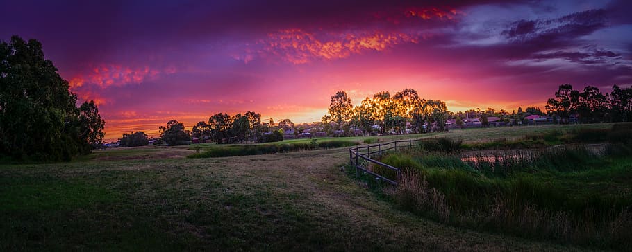 sky, landscape, plant, cloud - sky, environment, grass, tree HD wallpaper
