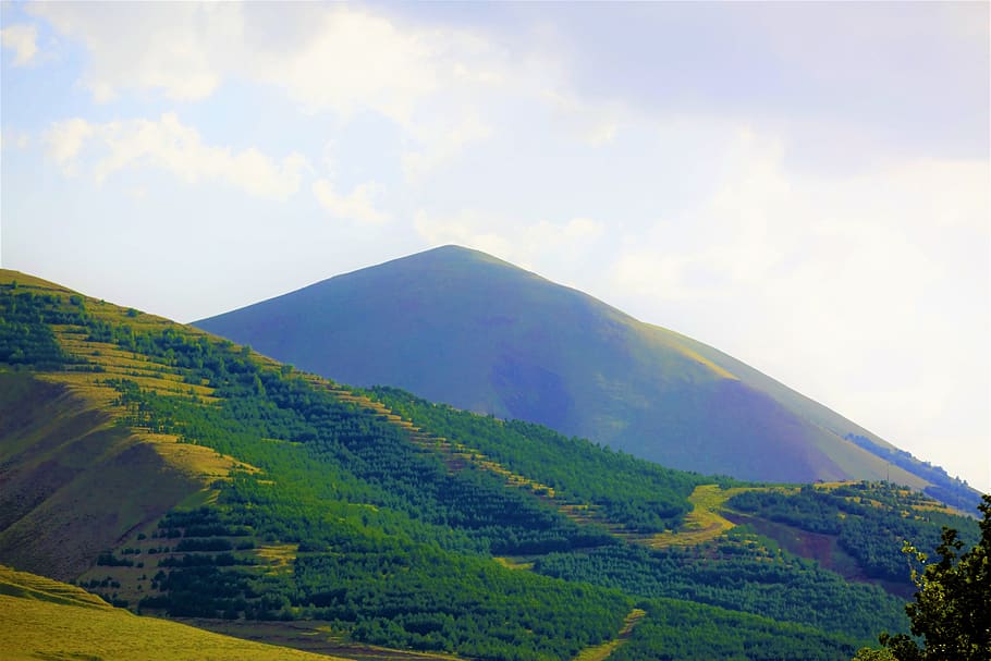 mountain, forest, taylor, summit, high, horizon, landscape HD wallpaper
