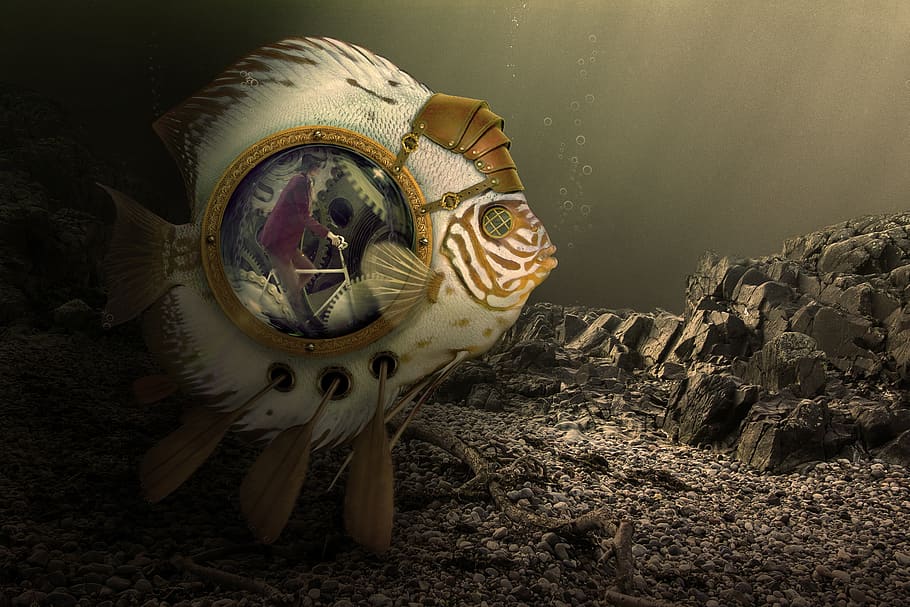 nature, fish, dark, paddle, bike, the mechanism of, water, sea HD wallpaper