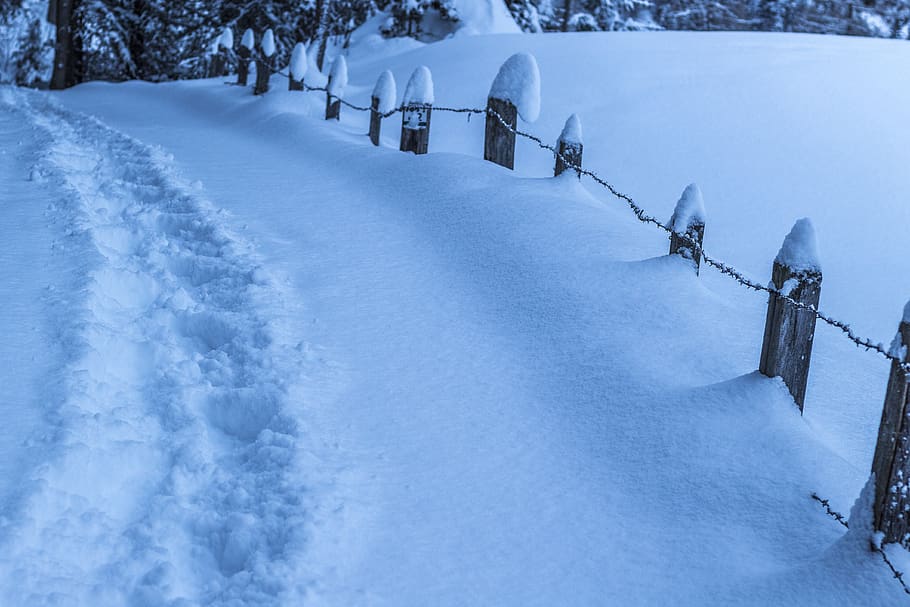 snow, winter, cold, ice, frost, frozen, travel, nature, landscape HD wallpaper