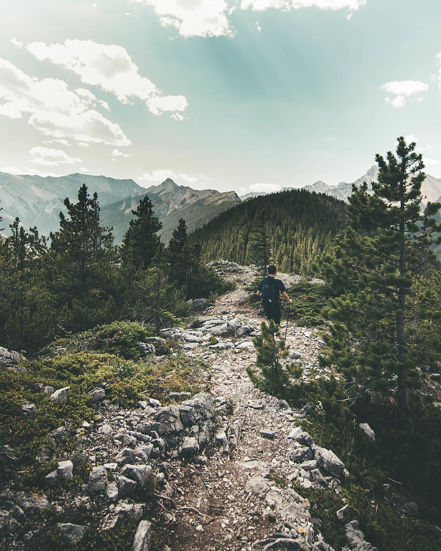 man walking on forest trail, outdoors, wilderness, mountain, tree HD wallpaper