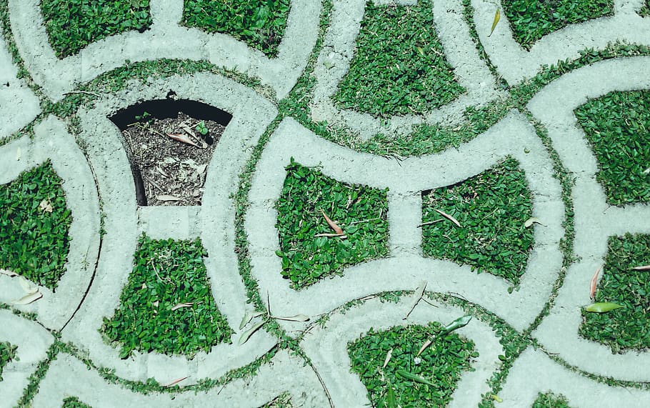 forest, sidewalk, grass, luck, parking, missing, align, alignment HD wallpaper