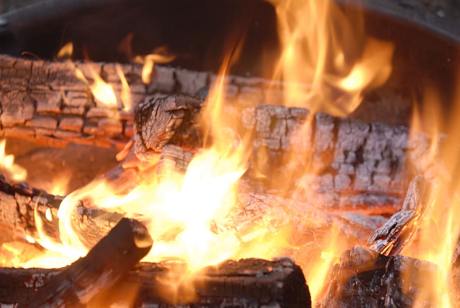 fire, flame, burning, fire - natural phenomenon, heat - temperature HD wallpaper
