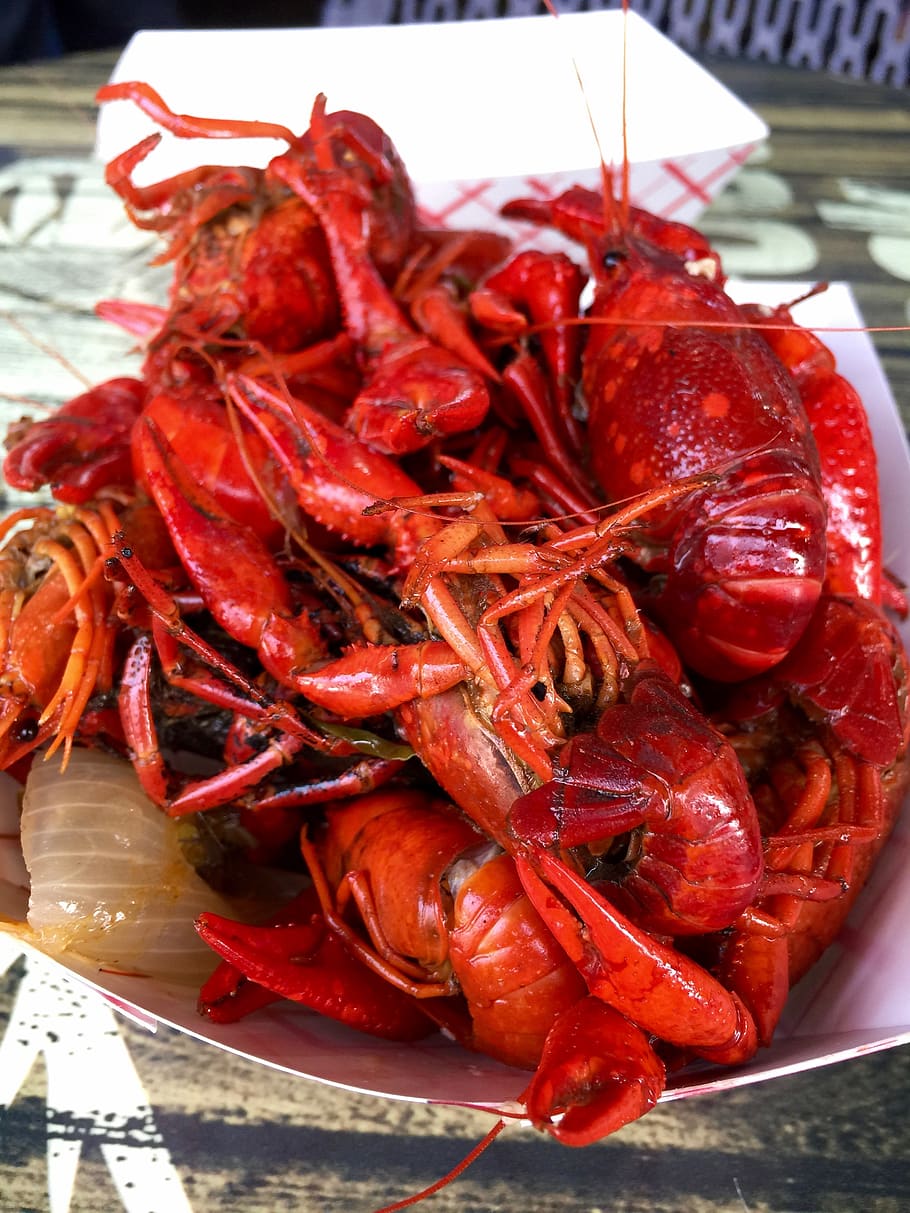 food, mudbug, crawfish, food and drink, seafood, red, crustacean HD wallpaper