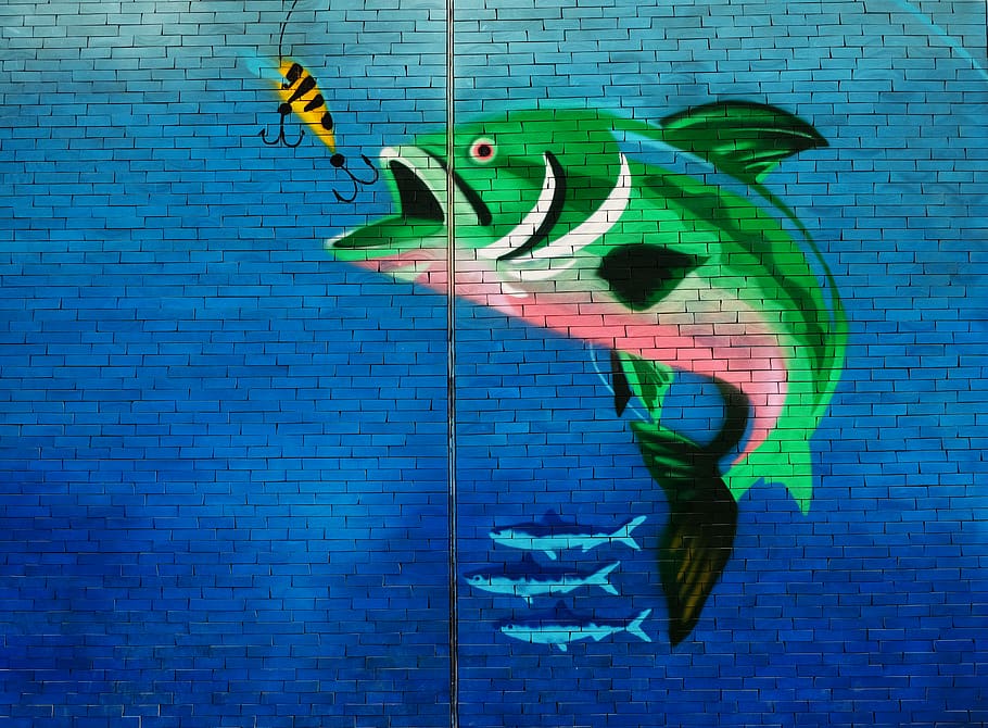 Fish hook 1080P, 2K, 4K, 5K HD wallpapers free download