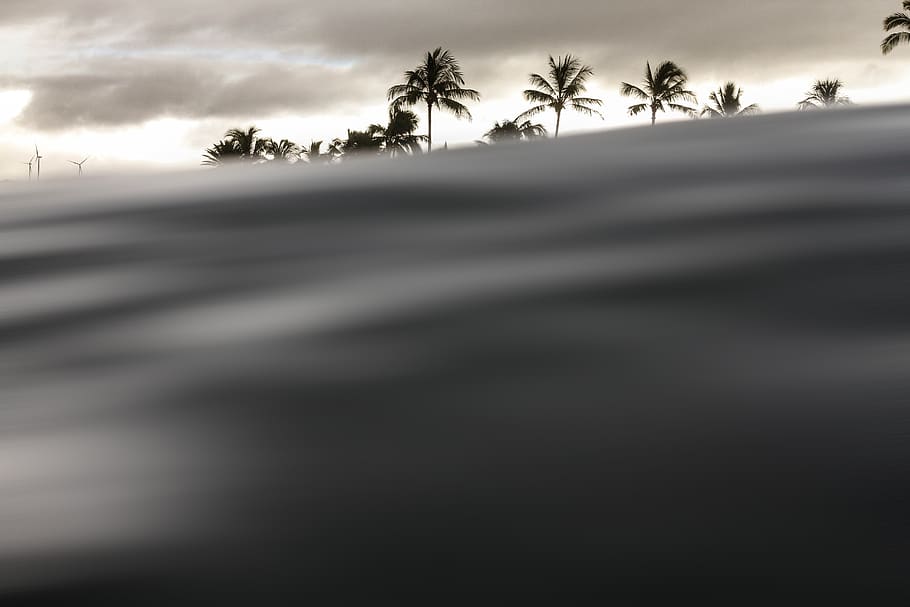 windmill, coconut, tree, plant, clouds, sky, water, waves, nature HD wallpaper