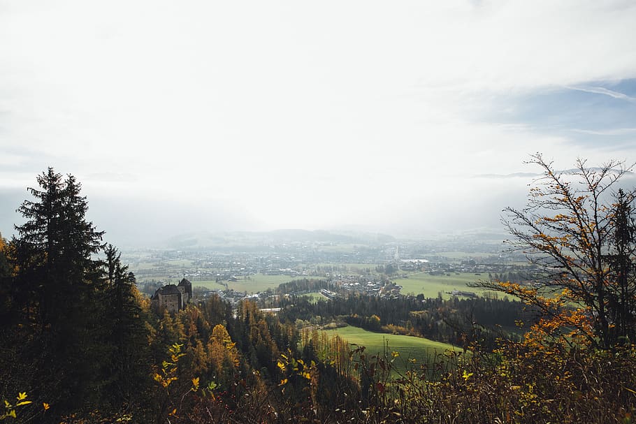 green trees across clouds, plant, fir, abies, conifer, outdoors HD wallpaper