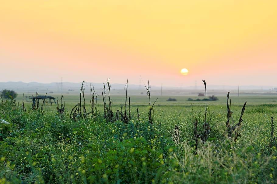 landscape, hdr, high dynamic range, sunset, nature, sky, colors HD wallpaper