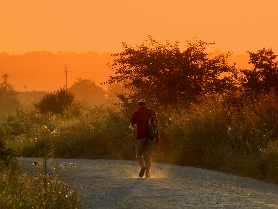human, walk, walking, activity, sunset, full length, plant HD wallpaper