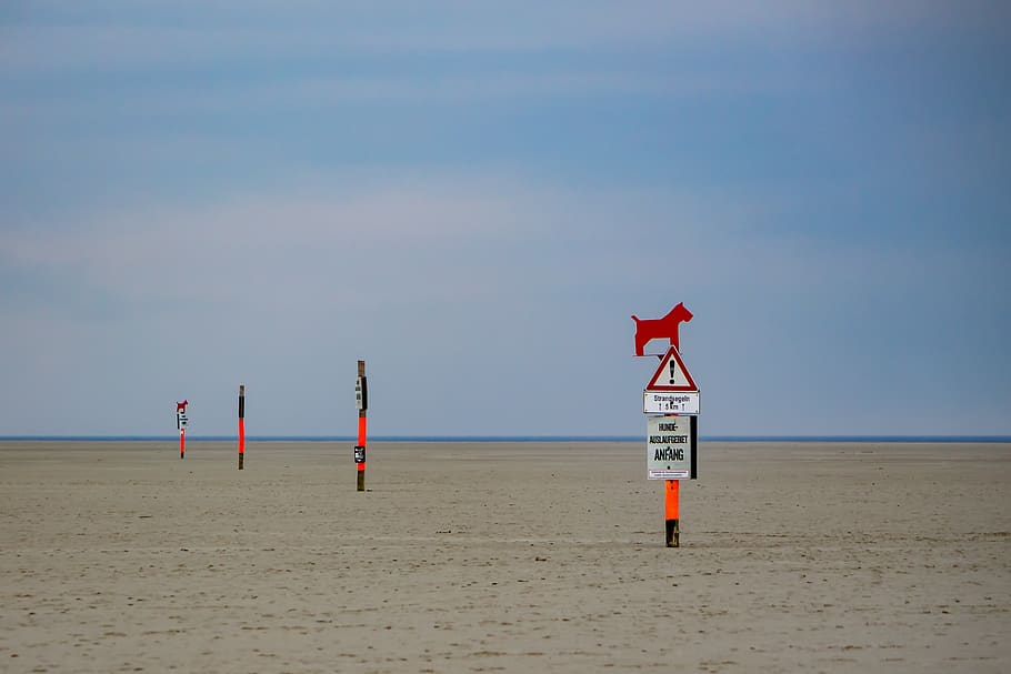 beach, barks, red, black, shield, dog zone, sky, horizon, north sea HD wallpaper