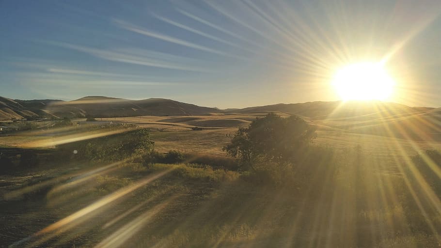field, sunset, tree, rays, hills, background, sky, sunlight HD wallpaper