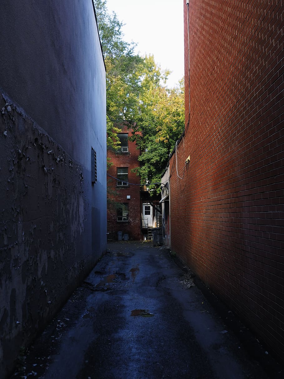 canada, montreal, architecture, built structure, building exterior HD wallpaper