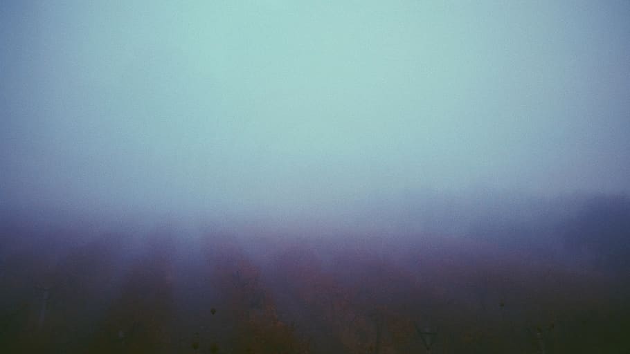 mist, fog, beauty in nature, tranquility, environment, scenics - nature HD wallpaper