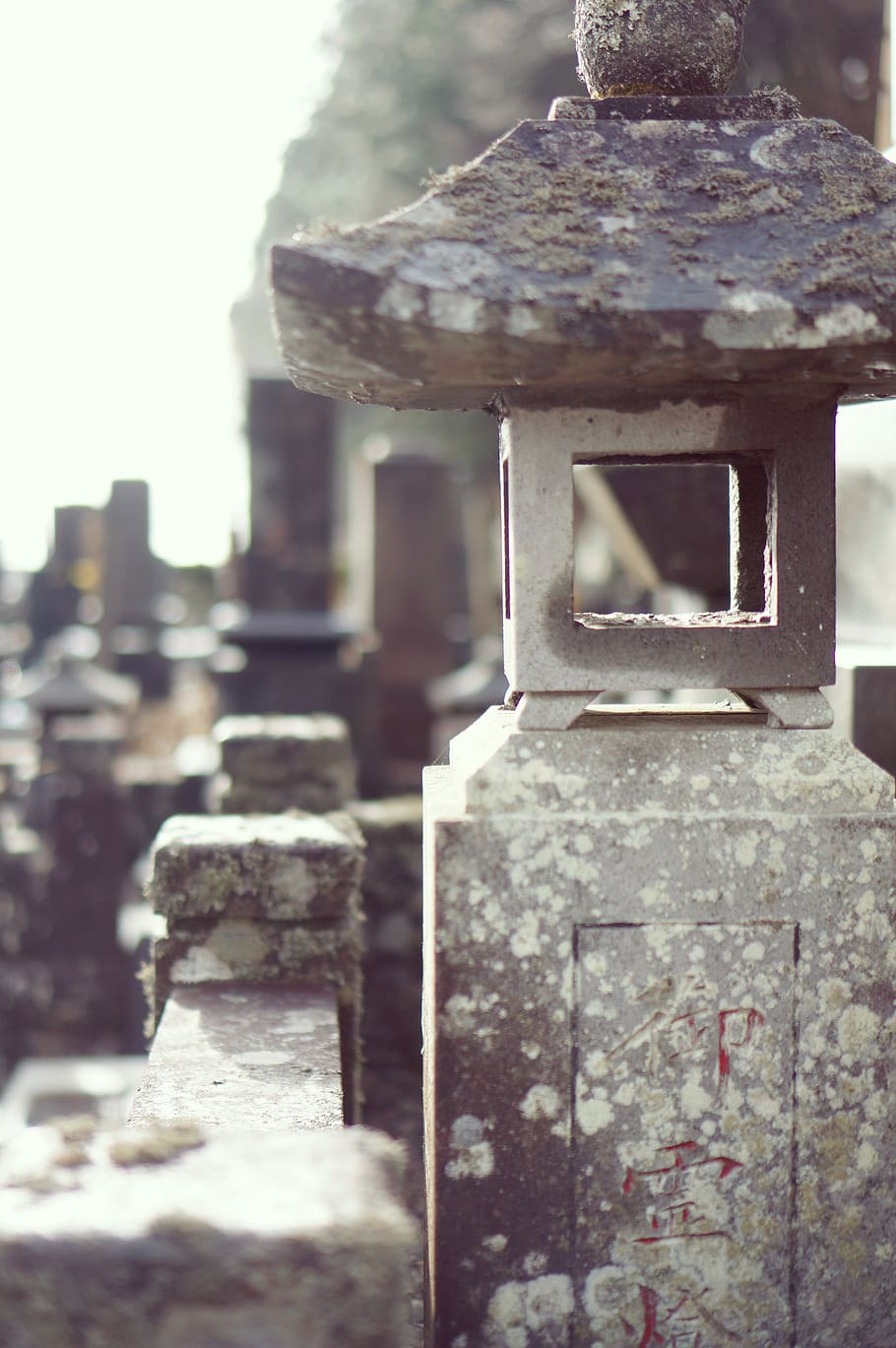 japan, nikko, grave, graveyard, morning, focus on foreground HD wallpaper