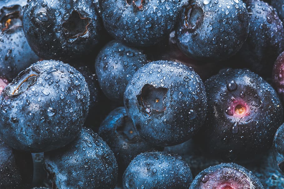 Blackberries in Macro Photography, background, background image HD wallpaper