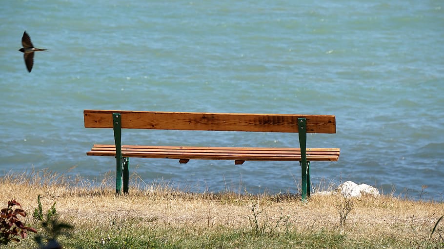 bench, water, nature, seat, wood - material, grass, land, beauty in nature HD wallpaper