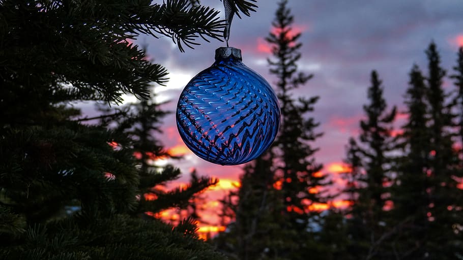 canada, canmore, tree, decoration, plant, christmas, christmas decoration HD wallpaper