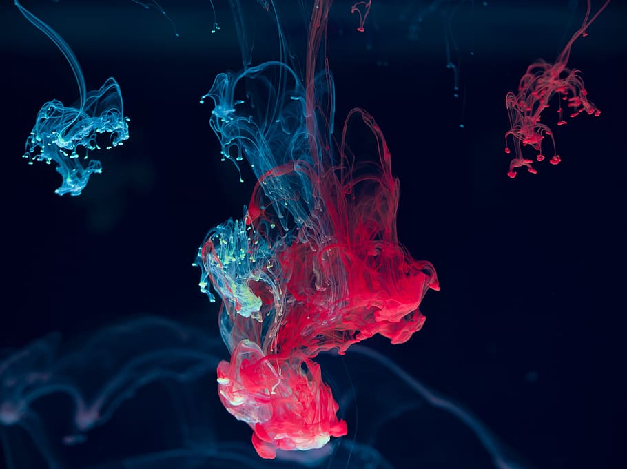 water plants showing red and blue colors, sea, ink, motion, studio shot HD wallpaper