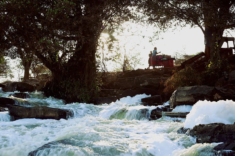 Person Standing Near Body of Water and Trees, cascade, cold, environment HD wallpaper