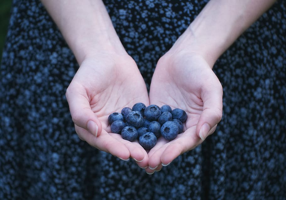 person showing blueberry lot, hand, dress, fashion, style, fruit, HD wallpaper