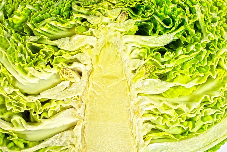 savoy, vegetables, healthy, savoy cabbage, kohl, eat, vitamin, HD wallpaper