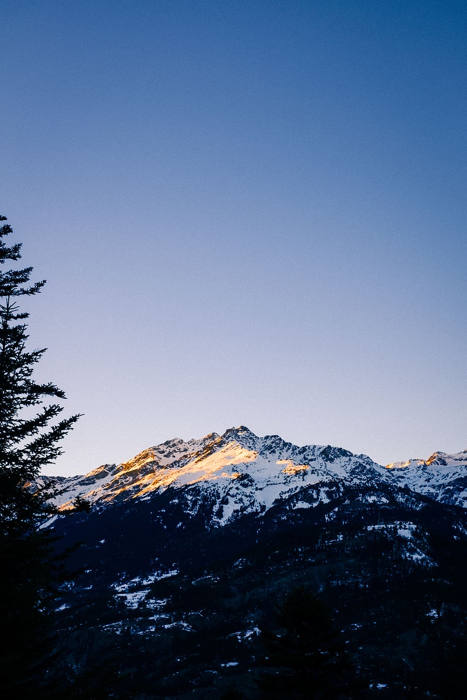mountain covered by snow, plant, tree, abies, fir, nature, outdoors HD wallpaper