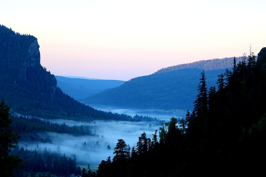 mountains and trees during sunset, nature, landscape, fog, pagosa springs HD wallpaper