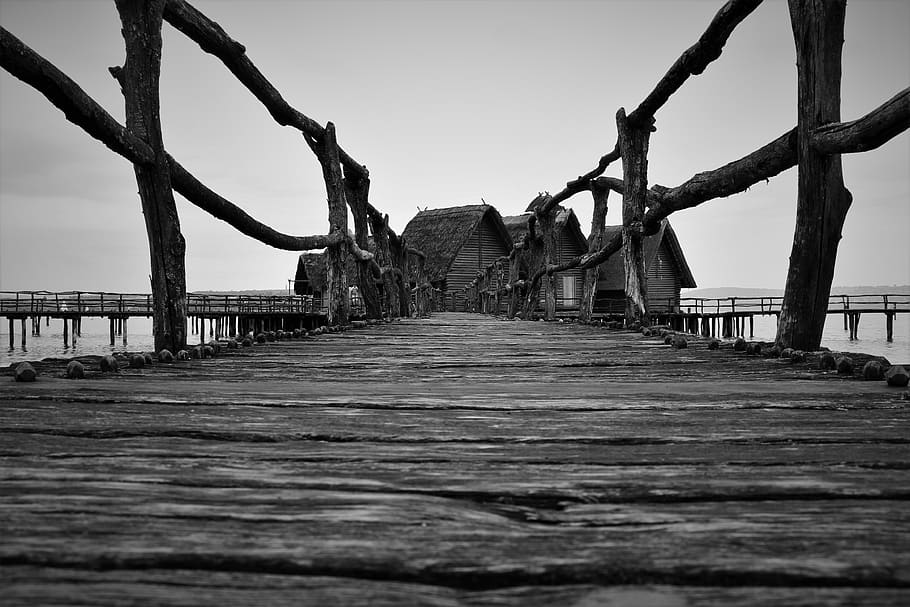 empty bride, water, wood - material, sky, direction, nature, the way forward HD wallpaper