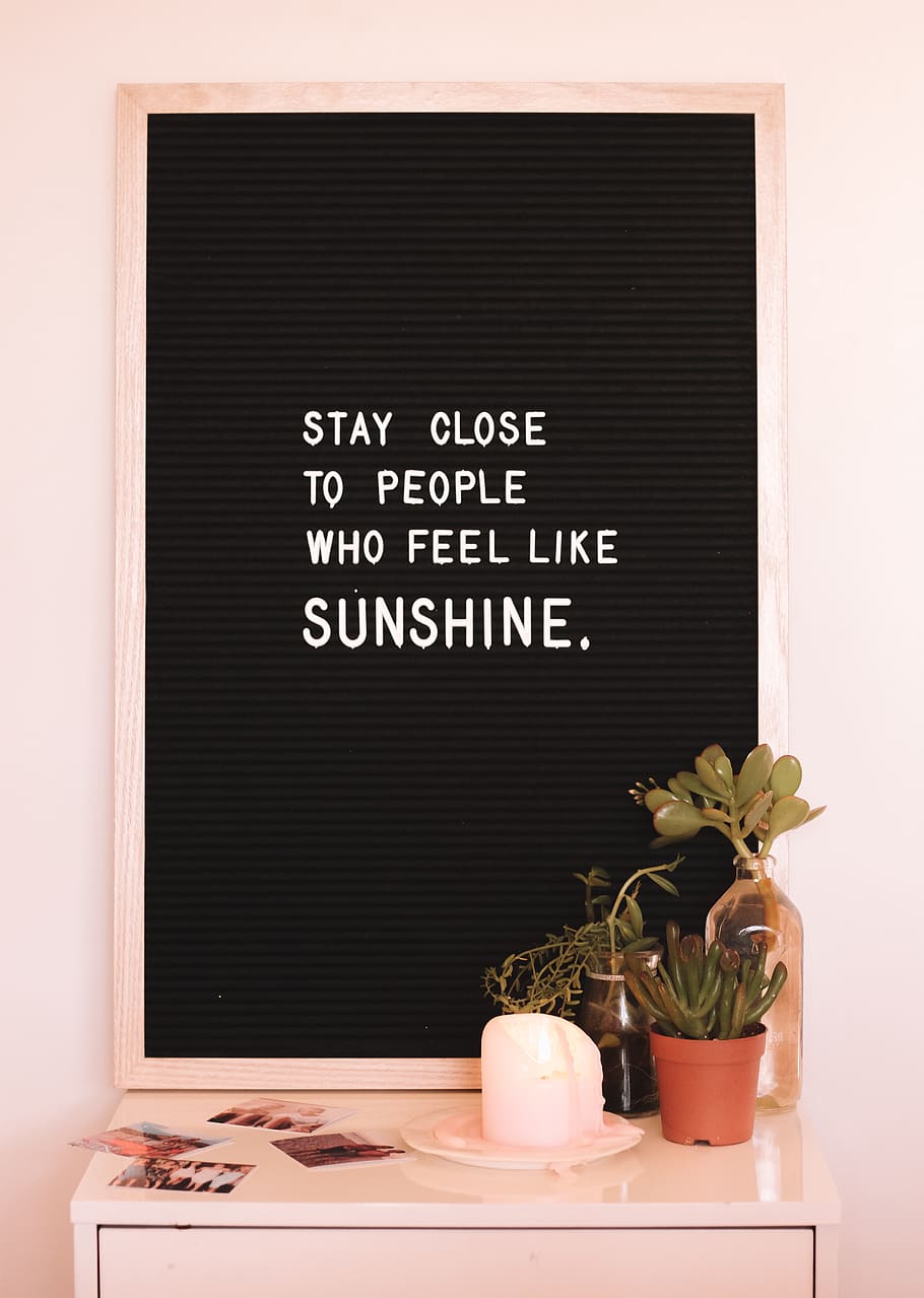 stay close to people who feels like sunshine quote, text, plant, HD wallpaper