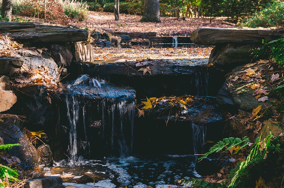 Waterfalls, creek, daylight, environment, flow, forest, landscape HD wallpaper
