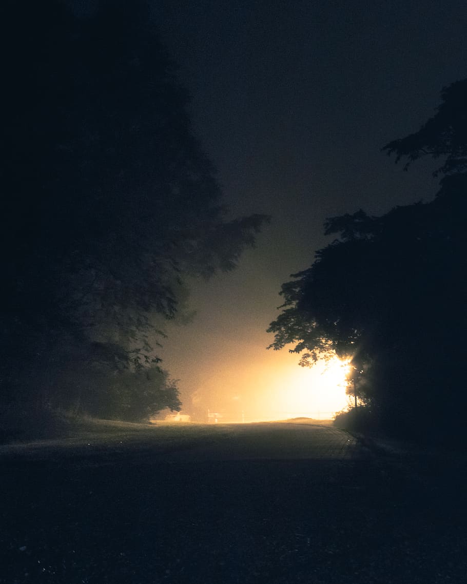 light between trees, road, dark, glow, night, sunrise, sunset HD wallpaper