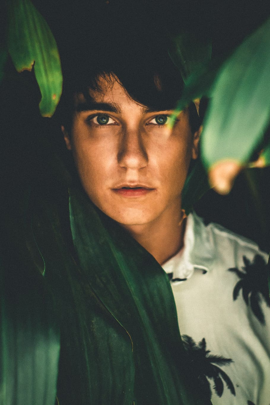 Man in White Collared Shirt Surround by Leaves on Focus Photography