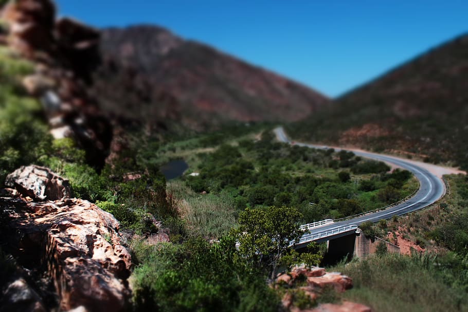 long, road, highway, mountain, nature, beauty in nature, plant HD wallpaper