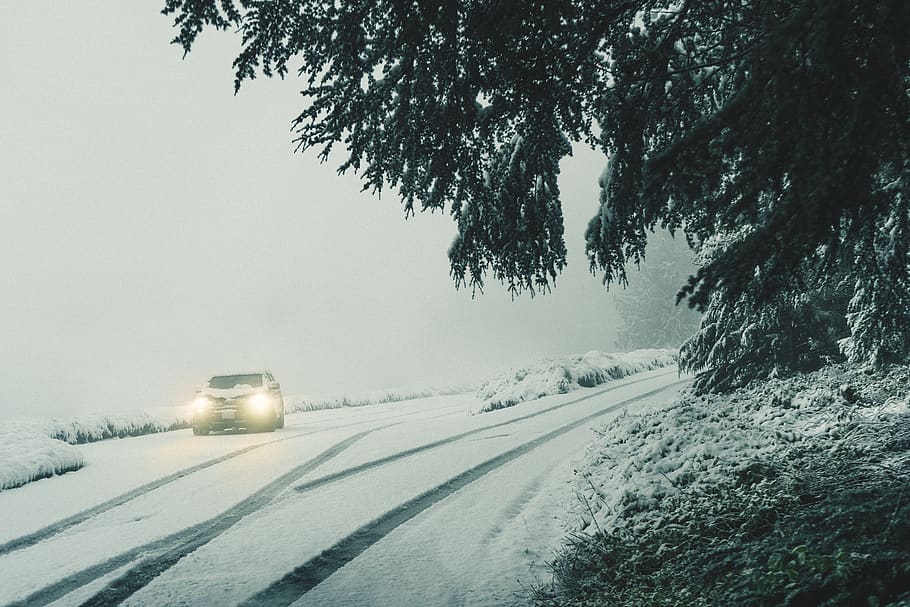 gray vehicle headlight turned-on, nature, outdoors, winter, blizzard HD wallpaper