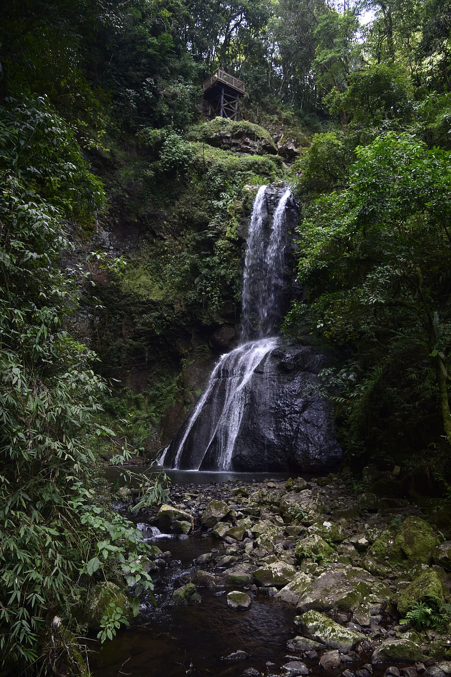 waterfall, nature, tree, forest, plant, flowing water, scenics - nature HD wallpaper