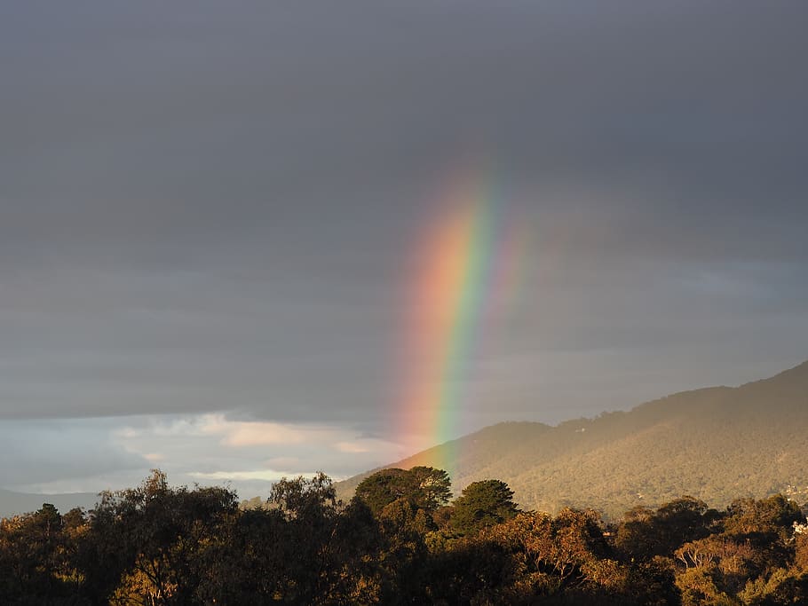rainbow, weather, beauty in nature, scenics - nature, tree HD wallpaper