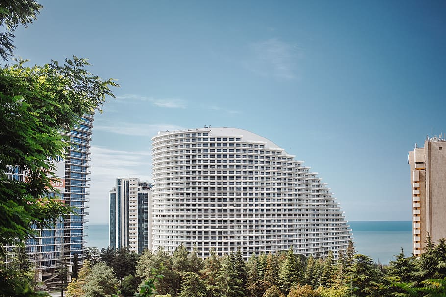 white concrete building under blue sky concept, tree, office building HD wallpaper