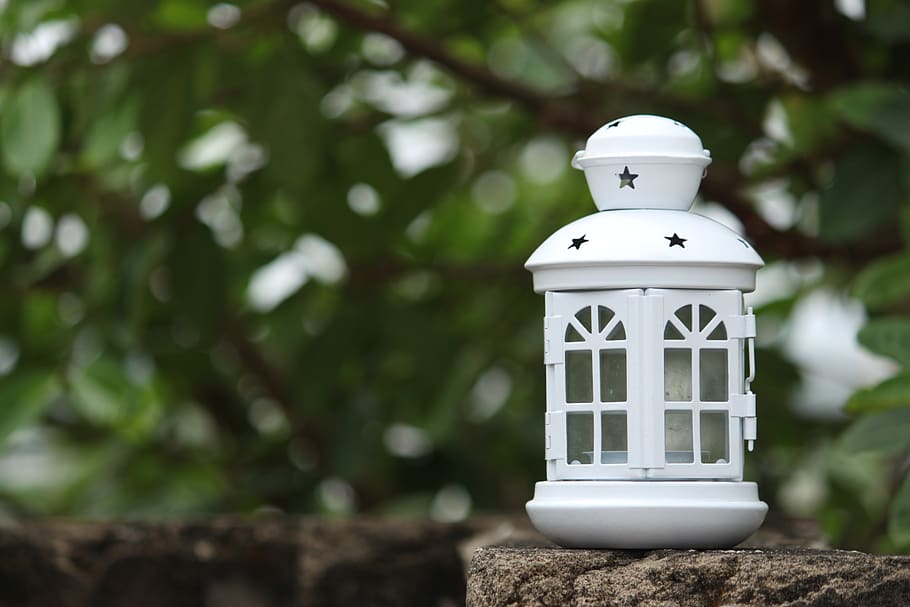 macro, miniature, figure, small, funny, figurine, humorous HD wallpaper