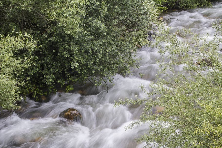 spain, ruayer, trees, river, plant, motion, water, scenics - nature HD wallpaper