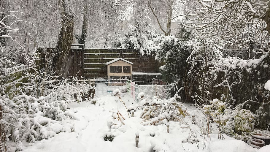 snowflakes, white, daytime, rabbit hutch, blizzard, garden HD wallpaper