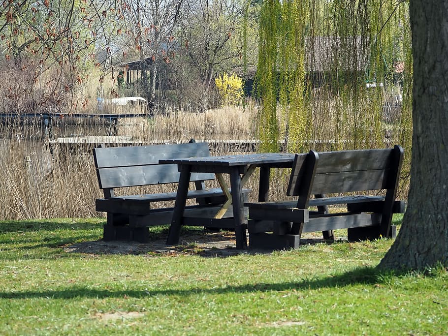 lake, water, table, seat, chair, furniture, plant, tree, grass HD wallpaper