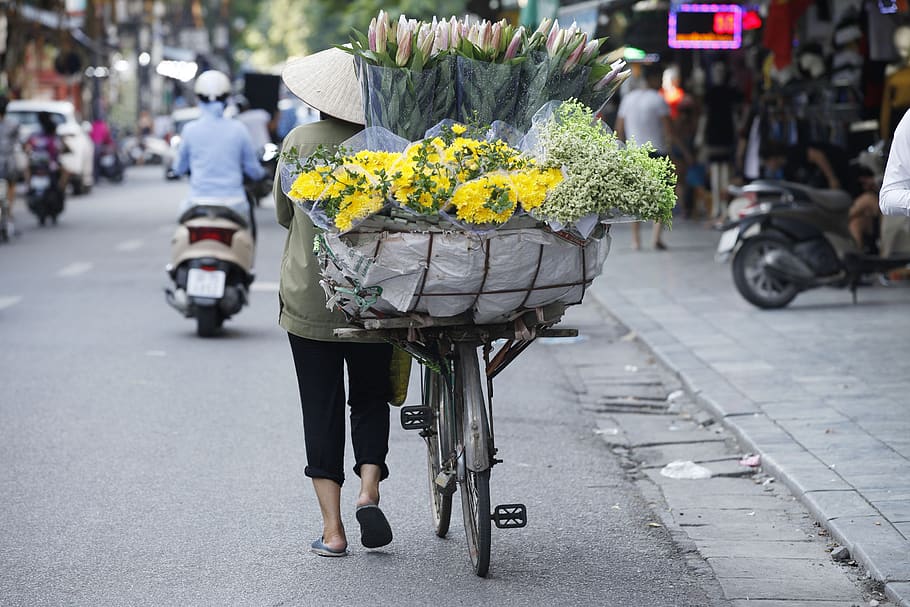 hanoi capital, hanoi flower, flower street of vietnam, hanoi street, HD wallpaper