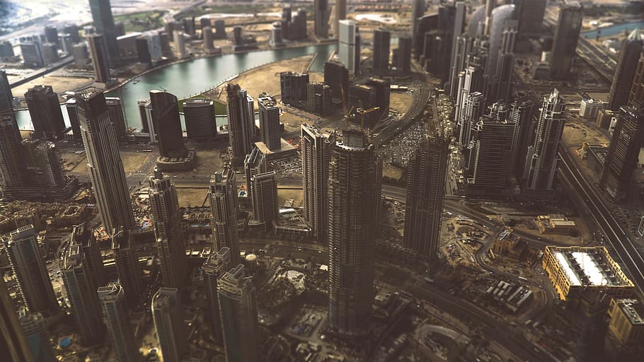 bird', no people, high angle view, abundance, city, backgrounds HD wallpaper