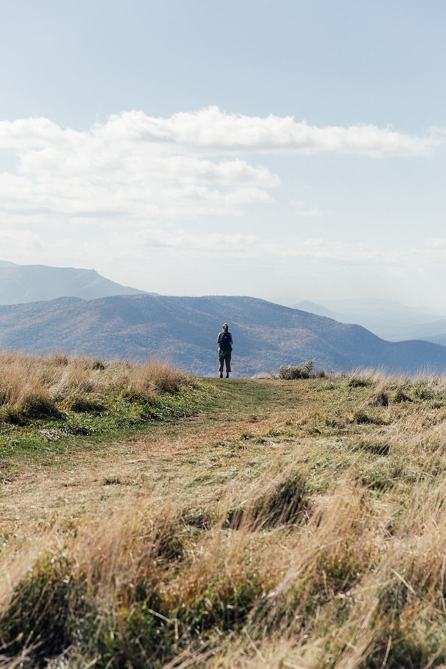 max patch, united states, landscape, nature, hiker, hiking HD wallpaper